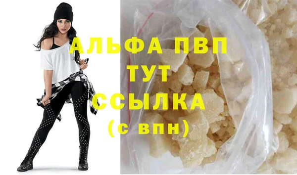 сатива Тайга