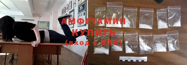 apvp Вяземский