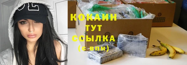apvp Вяземский