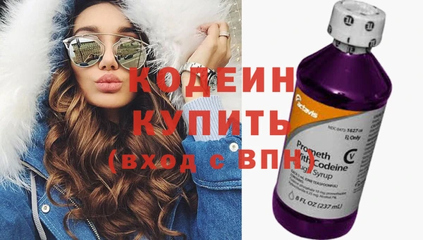 apvp Вяземский