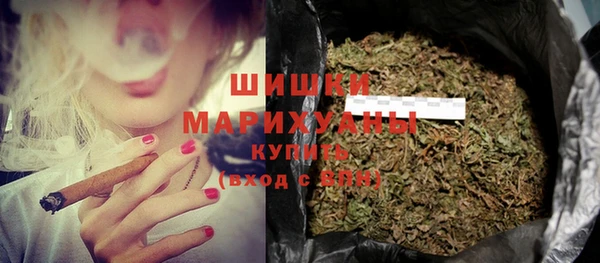 apvp Вяземский