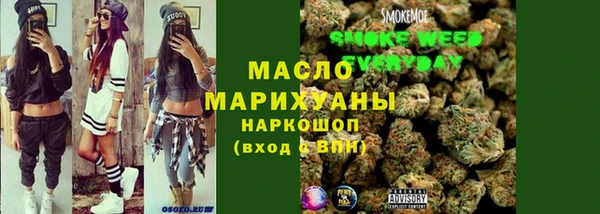 apvp Вяземский