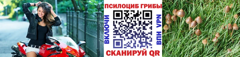 купить наркотики цена  Ипатово  Псилоцибиновые грибы мухоморы 