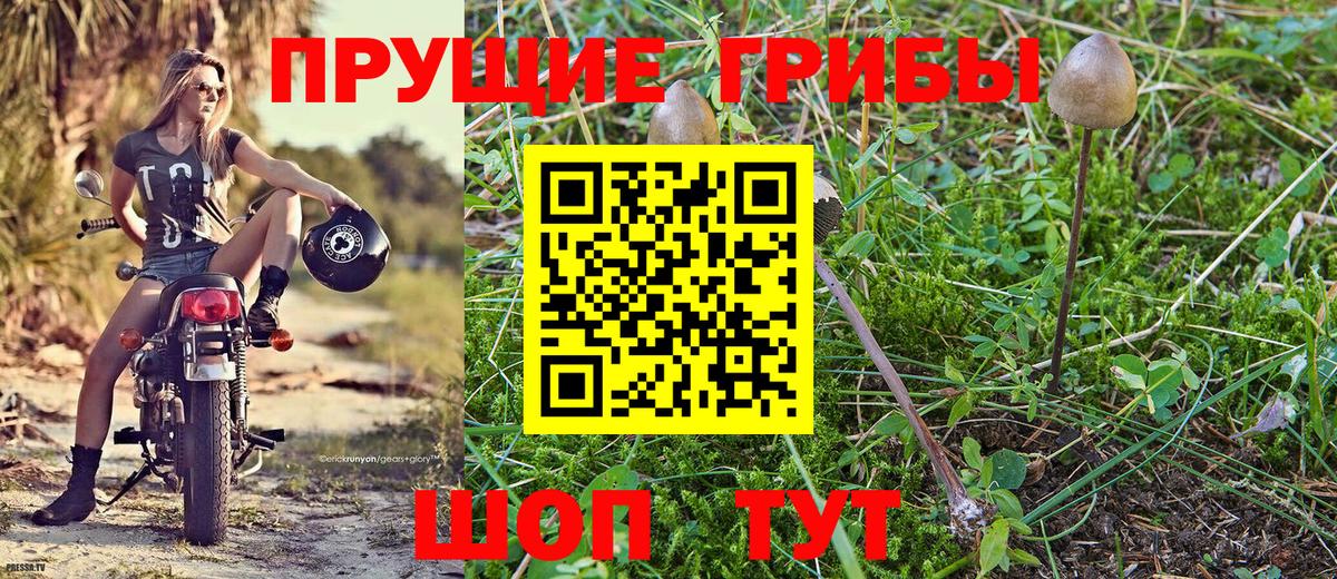 Ипатово  Галлюциногенные грибы ЛСД  Вход с VPN 