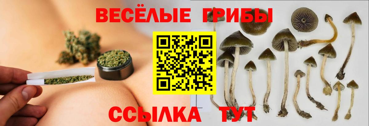 Галлюциногенные грибы мицелий Ипатово